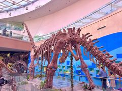 -陕西自然博物馆