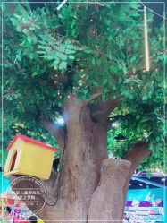 -哈尼兔儿童游戏乐园(沈阳大东龙之梦店)