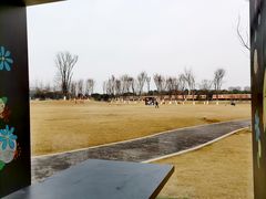 -府河摄影公园