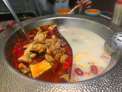 -麻田会 ·鲜活现烹·牛蛙火锅(珠江新城维家思广场店)