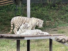 -宁波野生动物园