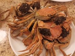 -禾斗海鲜自助(市南银座店)