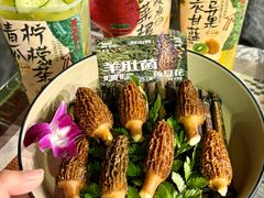 -朱光玉火锅馆(正弘城店)