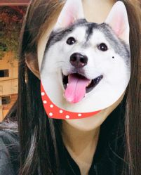 点击看大图 -镁连社·美联社