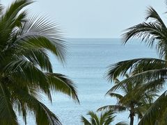 -日落吧·海景咖啡厅·餐酒吧·鸡尾酒·下午茶·乐队表演·浪漫夕阳·三亚文华东方酒店