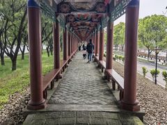 -洪湖生态旅游区