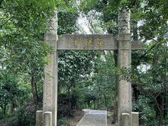 -上海佘山国家森林公园天马山园