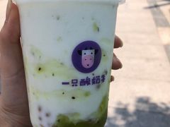 -一只酸奶牛(时代天街A馆店)