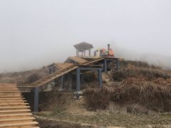-泽雅景区