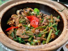 肥肠煲-煲煲好(朝阳门店)