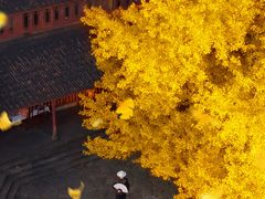 -大慈岩风景区