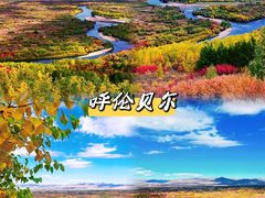 -呼伦贝尔大草原