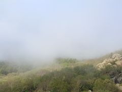 -白草畔自然风景区