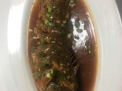 -睿柏云酒店-餐厅