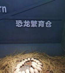 -恐龙探索乐园(磁器口店)