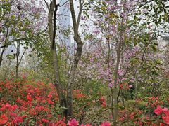 -南宁市凤岭儿童公园