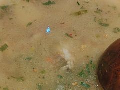 -老傅家湘潭水煮活鱼店(众一国际店)