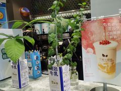 -奈雪的茶(中海环宇荟店)