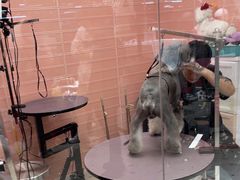 -FAELING PETS美天灵宠物(合生汇店)