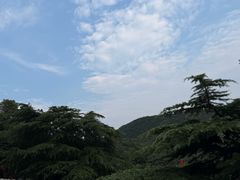-句容茅山景区