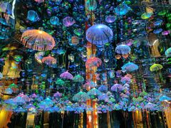 -成都梵高星空艺术馆(春熙路旗舰店)