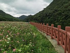 -广州市石门国家森林公园