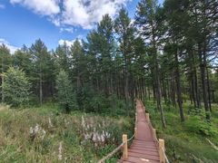 -塞罕坝国家级自然保护区