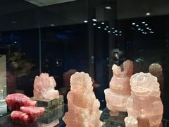 -中国地质博物馆