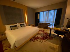 -上海龙之梦万丽酒店