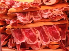 -塞哥维亚输水道