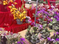 -越秀西湖花市(广州城市广场花卉店)