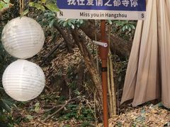 -杭州黄龙洞