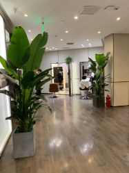 -崇尚GAVIN STYLE臻选