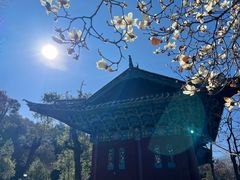 -黑龙潭公园