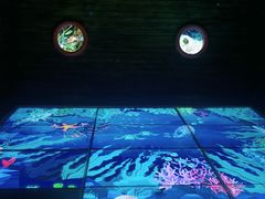 -中国宋庆龄青少年科技文化交流中心