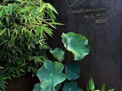 -物心空间