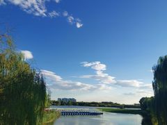 -大兴滨河森林公园