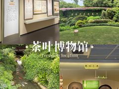 -中国茶叶博物馆(双峰馆区)