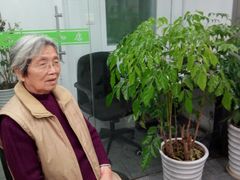 -宁耳听力助听器奥迪康·峰力·西门子(宝山店)