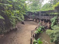 -长鹿旅游休博园