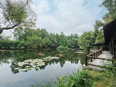 -东湖落雁景区
