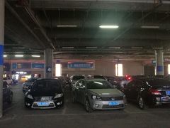 -南京奥林匹克体育中心-体育馆