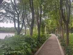 -美兰湖景区