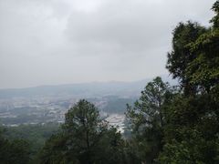 -火炉山森林公园