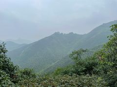 -莫干山风景区
