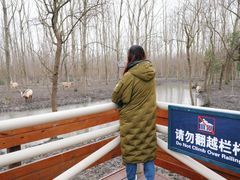 -溱湖国家湿地公园