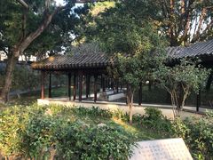 -九龙寨城公园