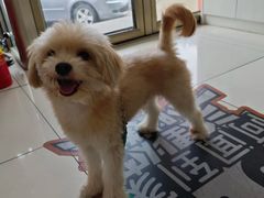 -纳吉亚猫专科动物医院博雅分院