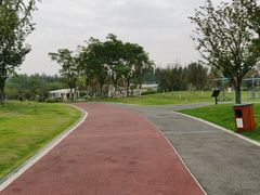 -府河摄影公园