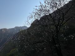 -北京凤凰岭